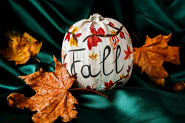 포토 JPG 해외이미지 단풍 낙엽 호박 사람없음 장식 할로윈 오브젝트 해외포토 잎 채소 파일형식 이미지허브