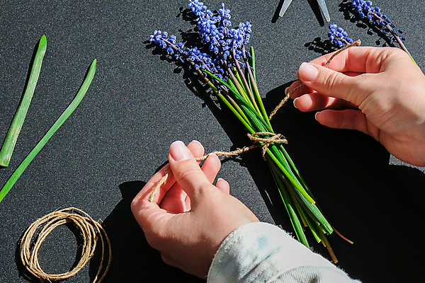 포토 JPG 해외이미지 손 꽃 꽃다발 실내 사람없음 신체부위 잡기 작업실 묶기 꽃집 무스카리 해외포토 식물 모션 사람 내부 상점 파일형식 이미지허브