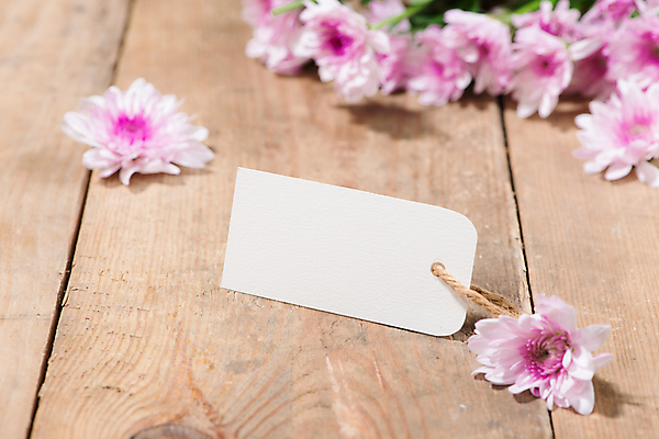 포토 JPG 해외이미지 꽃 실내 사람없음 꼬리표 목업 나무배경 해외포토 식물 백그라운드 내부 라벨 파일형식 이미지허브