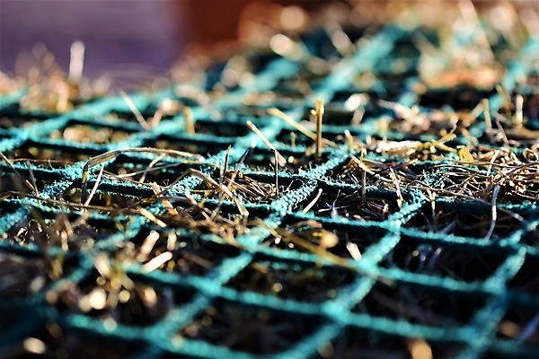 포토 JPG 해외이미지 식물 줄기 백그라운드 농업 건조 사람없음 야외 초록색 햇빛 태양 농장 맑음 그물 닫기 볏짚 소프트포커스 먹이 유기농 질감 해외포토 자연요소 웰빙 산업 컬러 모션 날씨 촬영기법 짚 파일형식 이미지허브