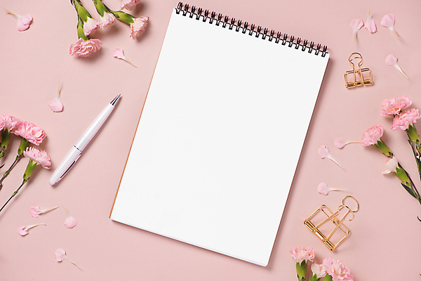 포토 JPG 해외이미지 꽃잎 꽃 실내 사람없음 하이앵글 펜 서류집게 스프링수첩 플래너 카피스페이스 분홍색배경 해외포토 식물 뷰포인트 분홍색 백그라운드 집게 내부 필기구 다이어리 공백 파일형식 이미지허브