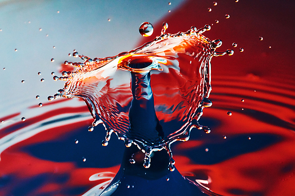 포토 JPG 해외이미지 나무 디자인 계절 별 겨울 패턴 곡선 모션 벽지 휴가 새로움 미술 사람없음 그래픽 장식 빛 컬러풀 우주 축하 신용카드 눈송이 연도 질감 공상 해외포토 자연요소 식물 선 컬러 컨셉 무늬 문화예술 눈_날씨 금융 파일형식 이미지허브