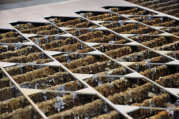 포토 JPG 해외이미지 식물 디자인 산업 비즈니스 사람없음 금속 기계 장비 공구 업무 자르기 철 묘사 낭비 철강 커터 해외포토 컨셉 모션 재질 도구 작업 파일형식 이미지허브