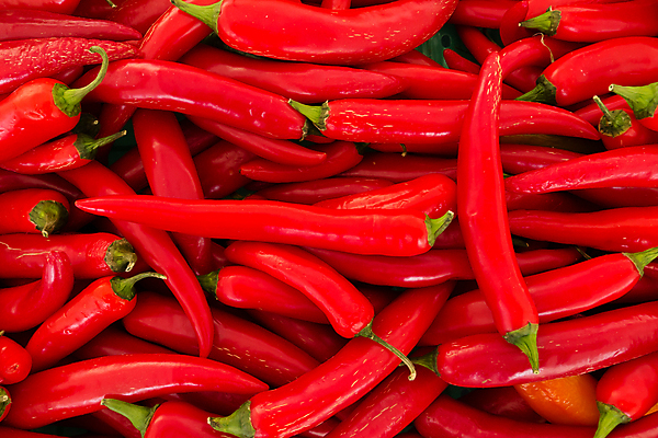 포토 JPG 해외이미지 음식 채소 과일 고추 사람없음 빨간색 뜨거움 향신료 매움 후추 해외포토 컬러 맛 향미료 파일형식 이미지허브