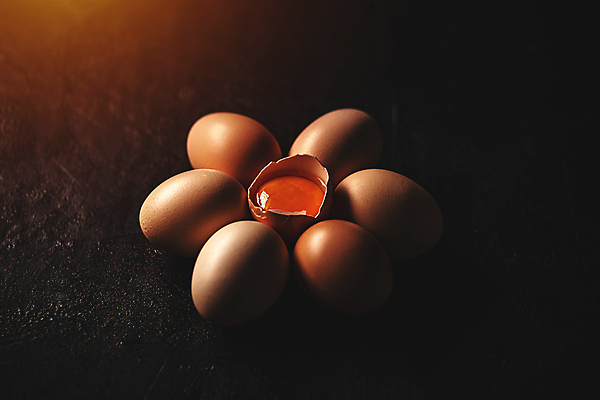 포토 JPG 해외이미지 검은배경 실내 사람없음 계란 어둠 깨짐 날계란 해외포토 백그라운드 컨셉 내부 알 검은색 파일형식 이미지허브