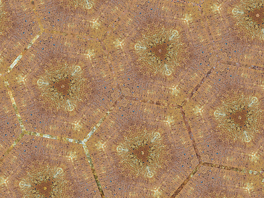 포토 JPG 해외이미지 디자인 선 백그라운드 패턴 오렌지 일러스트 벽지 추상 미술 사람없음 그래픽 장식 컬러풀 갈색 공구 원형 심볼 질감 심플 윤곽 기하학 구성 대칭 똑같은 쉬운 엘리먼트 특별함 스타일 많음 반복 해외일러스트 도형 컬러 컨셉 무늬 과일 문화예술 도구 파일형식 이미지허브