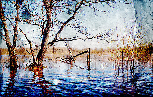 포토 JPG 해외이미지 나무 종이 과학 백그라운드 겨울 패턴 텍스트 자연 추상 프레임 사람없음 목재 책 물 노란색 쪽지 공백 수확 골동품 나뭇가지 점 얼룩 거친 균열 강의 홍수 허브 질감 복고 페이지 찢어짐 그런지 보관소 보유 세피아 양피지 원고 조작 노화 해외포토 자연요소 식물 계절 컬러 컨셉 무늬 농업 재료 모션 촬영기법 자연재해 저장 생태계 파일형식 이미지허브