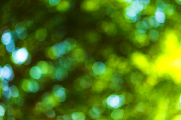 포토 JPG 해외이미지 나무 식물 디자인 계절 공원 백그라운드 컨셉 잎 크리스마스 패턴 자연 벽지 하늘 추상 새로움 미술 사람없음 초록색 빛 컬러풀 햇빛 태양 뷰티 노란색 정원 맑음 봄 활발 원형 소프트포커스 숲 질감 보케 부드러움 내추럴 광 블러 생태학 효과 해외포토 자연요소 도형 공공시설 교육 기념일 컬러 무늬 날씨 문화예술 촬영기법 감각 생태계 파일형식 이미지허브