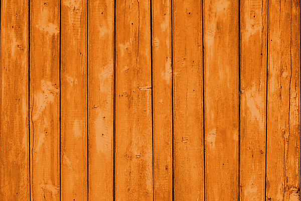 포토 JPG 해외이미지 디자인 별 벽 바다 백그라운드 패턴 오렌지 자연 표면 날씨 추상 바닥 건조 해변 사람없음 목재 세로 파란색 컬러풀 갈색 파티 우주 검은색 어둠 페인트 수확 시골 잡기 판넬 거친 코드 널 천 지중해 질감 내추럴 그런지 수목 엘리먼트 옛날 카피스페이스 해외포토 자연요소 나무 컬러 무늬 농업 과일 재료 모션 이벤트 공백 직물 생태계 파일형식 이미지허브