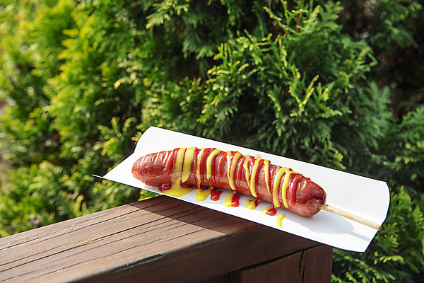 포토 JPG 주간 디저트 사람없음 야외 풀 소시지 케첩 머스터드 나무울타리 이천 휴게소 종이접시 국내포토 자연요소 식물 접시 음식 휴식 울타리 소스_음식 가공식품 경기도 파일형식