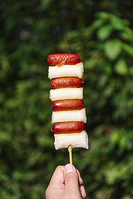 포토 JPG 주간 손 디저트 들기 야외 아웃포커스 신체부위 풀 이천 휴게소 소떡소떡 국내포토 자연요소 식물 음식 모션 휴식 촬영기법 사람 꼬치 경기도 파일형식