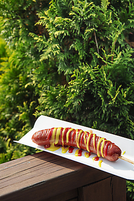 포토 JPG 주간 디저트 사람없음 야외 풀 소시지 케첩 머스터드 나무울타리 이천 휴게소 종이접시 국내포토 자연요소 식물 접시 음식 휴식 울타리 소스_음식 가공식품 경기도 파일형식