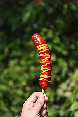 포토 JPG 주간 손 디저트 들기 야외 아웃포커스 신체부위 소시지 케첩 머스터드 이천 휴게소 국내포토 자연요소 음식 모션 휴식 촬영기법 사람 소스_음식 가공식품 경기도 파일형식