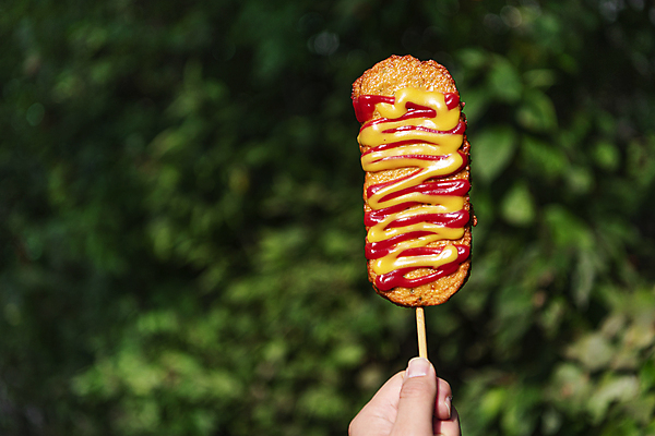 포토 JPG 주간 식물 손 디저트 들기 야외 아웃포커스 신체부위 케첩 머스터드 이천 핫바 휴게소 국내포토 자연요소 음식 모션 휴식 촬영기법 사람 소스_음식 경기도 파일형식