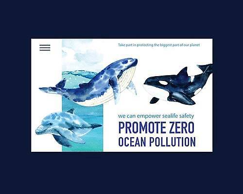 EPS 해외이미지 바다 일러스트 세마리 사람없음 홈페이지 흰색 고래 돌고래 바다의날 범고래 해외일러스트 기념일 컬러 포유류 3 수중동물 파일형식 벡터 이미지허브