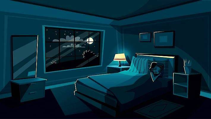 EPS 해외이미지 여자 화분 액자 일러스트 창문 침구 실내 한명 상반신 성인 눕기 어둠 침대 잠 야간 달빛 서랍장 화장대 성인여자한명만 수면등 해외일러스트 자연요소 1 가구 모션 조명 사람 내부 달 여자한명만 성인여자만 파일형식 벡터 이미지허브