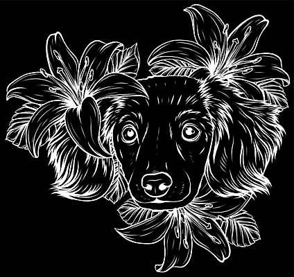 EPS 해외이미지 동물 캐릭터 손 디자인 옷 꽃 실루엣 얼굴 백그라운드 꽃무늬 일러스트 자연 털 미술 반려동물 장미 머리 유행 검은색 화환 봄 스패니얼 흰색 그리기 개 강아지 인쇄 만화 스케치 문신 그림 프랑스어 고립 기르기 작약 스타일 해외일러스트 일러캐릭터 식물 문자 계절 컬러 무늬 포유류 모션 문화예술 촬영기법 신체부위 생태계 돌봄 파일형식 벡터 이미지허브