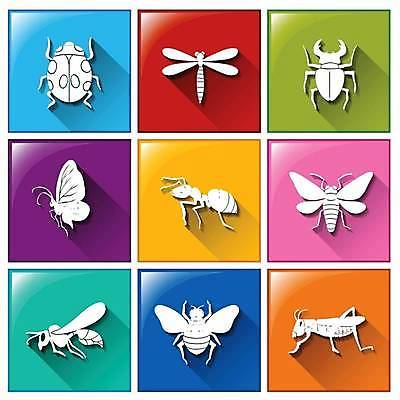 EPS 해외이미지 곤충 일러스트 버튼 사람없음 컬러풀 잠자리 무당벌레 개미 메뚜기 해외일러스트 동물 컬러 파일형식 벡터 이미지허브