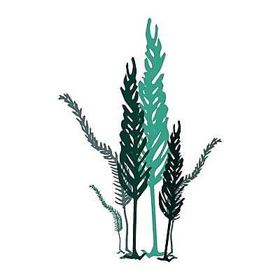 EPS 해외이미지 접시 호수 바다 스티커 잎 다이어트 일러스트 자연 초록색 물 파란색 강 수중 수영 나뭇가지 직물 연못 신선 해조류 낙서 숲 인쇄 바비큐 먹기 해산물 준비 암초 수족관 고립 동물상 민물 소금물 양치류 이국적 그리너리 해외일러스트 자연요소 나무 식물 식기 음식 컬러 모션 건강 조형물 수상스포츠 해양식물 생태계 파일형식 벡터 트랜드컬러 이미지허브