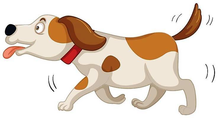 EPS 해외이미지 클립아트 동물 캐릭터 길 야생동물 백그라운드 일러스트 포유류 자연 생물 미술 그래픽 반려동물 산책 흰색 개 강아지 자르기 오브젝트 그림 꼬리 클립 사냥개 고립 해외일러스트 일러캐릭터 컬러 모션 문화예술 휴식 생태계 파일형식 벡터 이미지허브