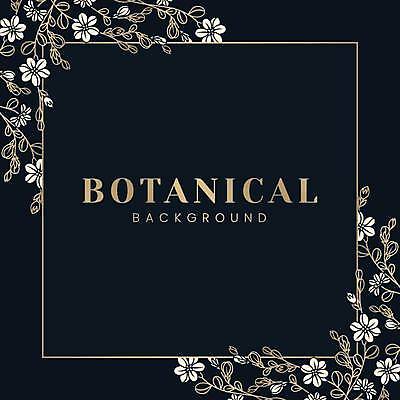 EPS 해외이미지 꽃 잎 일러스트 사각프레임 사람없음 분위기 고급 프레임일러스트 보테니컬아트 해외일러스트 식물 컨셉 프레임 사각형 파일형식 벡터 이미지허브