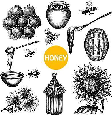 EPS 해외이미지 식물 손 디자인 꽃 음식 곤충 일러스트 추상 해바라기 주택 세포 건강 장식 세트 픽토그램 약 정원 숟가락 검은색 수확 항아리 붓기 달콤 낙서 상품 수분 벌 수집 허브 순수 국자 생물학 육각형 꿀 벌집 내추럴 고립 구성 밀랍 양봉장 왁스 해외일러스트 도형 동물 교육 컬러 컨셉 무늬 농업 의학 모션 주방용품 수저 건물 신체부위 도자기 맛 파일형식 벡터 이미지허브