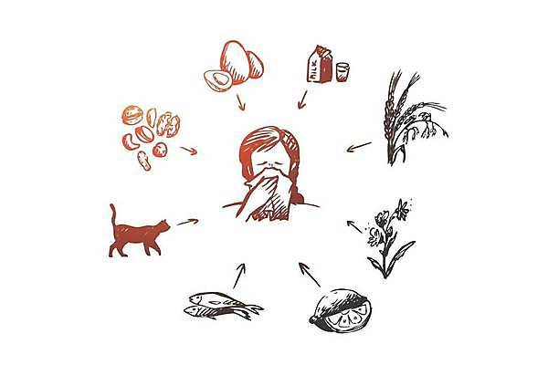 EPS 해외이미지 여자 꽃 과일 일러스트 어류 한명 들기 상반신 성인 계란 고양이 우유 견과류 화장지 밀 알레르기 성인여자한명만 해외일러스트 식물 1 포유류 모션 유제품 곡류 사람 반려동물 알 수중동물 질병 여자한명만 성인여자만 파일형식 벡터 이미지허브