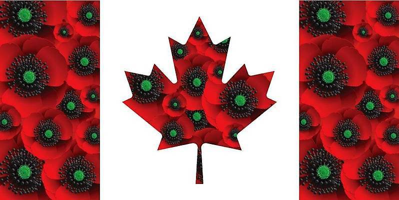 EPS 해외이미지 식물 디자인 배너 기념일 꽃 포스터 백그라운드 잎 캐나다 꽃무늬 패턴 일러스트 자연 영국 빨간색 세계 평화 검은색 힘 봄 자유 벚꽃 신용카드 역사 11월 심볼 군용 전쟁 초대 양귀비 육군 희생 병정 기념물 추모 존경 해외일러스트 계절 유럽 컬러 컨셉 북아메리카 무늬 군대 이벤트 금융 날짜 생태계 파일형식 벡터 이미지허브