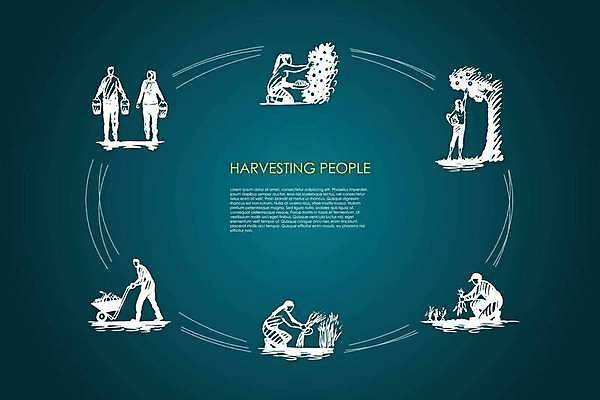 EPS 해외이미지 식물 직업 디자인 계절 컨셉 농업 채소 과일 일러스트 재료 사람 그래픽 장식 농작물 세트 농장 바구니 마을 정원 당근 수확 성장 시골 신선 업무 그룹 선택 볏짚 농부 연결 스케치 심볼 오브젝트 사인 유기농 포도밭 손그림 지역 내추럴 고립 땅바닥 숙성 해외일러스트 웰빙 산업 밭 바닥 뿌리채소 미술 작업 짚 파일형식 벡터 이미지허브