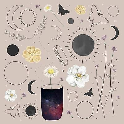 EPS 해외이미지 꽃 나비 잎 라인일러스트 일러스트 사람없음 빛 세트 태양 우주 달 야간 초승달 그림 스타일 해외일러스트 자연요소 식물 곤충 파일형식 벡터 이미지허브