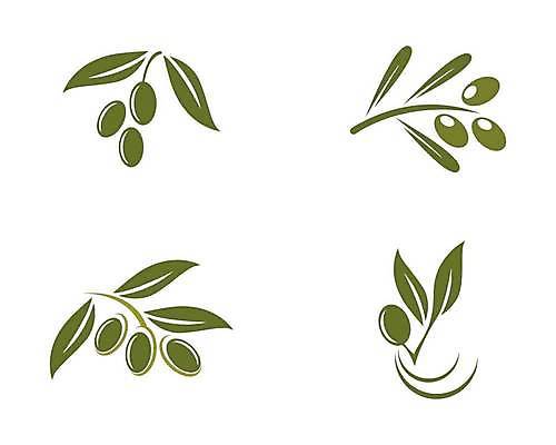 EPS 해외이미지 나무 식물 디자인 음식 백그라운드 잎 농업 채소 과일 일러스트 포장 자연 건강 초록색 세트 라벨 나뭇가지 신선 기름 심볼 사인 에코 유기농 올리브 짐싸기 내추럴 엘리먼트 해외일러스트 웰빙 열매 산업 컬러 프레임 환경 생태계 파일형식 벡터 이미지허브