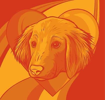 EPS 해외이미지 동물 캐릭터 디자인 행복 백그라운드 일러스트 포유류 사랑 미술 미소 그래픽 장식 반려동물 머리 검은색 힘 하트 인사 신용카드 개 달콤 강아지 보호 만화 테리어 래브라도리트리버 심볼 사인 그림 귀 고립 엘리먼트 유래 인기 해외일러스트 일러캐릭터 모양 감정 컬러 컨셉 문화예술 표정 신체부위 금융 예절 리트리버 맛 파일형식 벡터 이미지허브