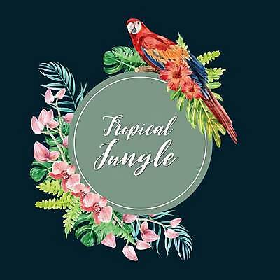 EPS 해외이미지 꽃 잎 일러스트 프레임 타이포그라피 사람없음 원형 꽃봉오리 원형프레임 열대잎 금강앵무새 해외일러스트 도형 식물 문자 앵무새 파일형식 벡터 이미지허브