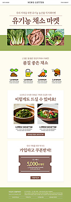 PSD 템플릿 손 ZIP 웹템플릿 채소 신체부위 초록색 소쿠리 새싹 수레 당근 샐러드 물뿌리개 수확 상추 유기농 고구마 나물 청경채 뉴스레터 나무그릇 미나리무침 쌈채소 케일 할인쿠폰 이미지템플릿 식물 그릇 웰빙 음식 컬러 농업 뿌리채소 사람 목재 바구니 카트 쿠폰 무침 파일형식