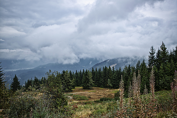 포토 JPG 주간 나무 구름 해외풍경 캐나다 하늘 산 풍경 사람없음 야외 숲 벤쿠버 국내포토 자연요소 식물 해외 북아메리카 파일형식