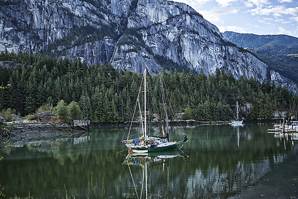 포토 JPG 주간 나무 해외풍경 캐나다 산 풍경 사람없음 야외 강 숲 고깃배 벤쿠버 출항 국내포토 자연요소 식물 해외 북아메리카 배_교통 파일형식