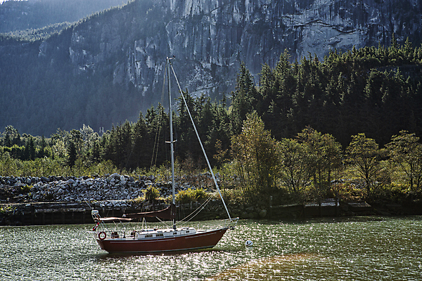 포토 JPG 주간 나무 해외풍경 물결 캐나다 산 풍경 사람없음 야외 강 숲 고깃배 벤쿠버 출항 국내포토 자연요소 식물 해외 북아메리카 배_교통 파일형식