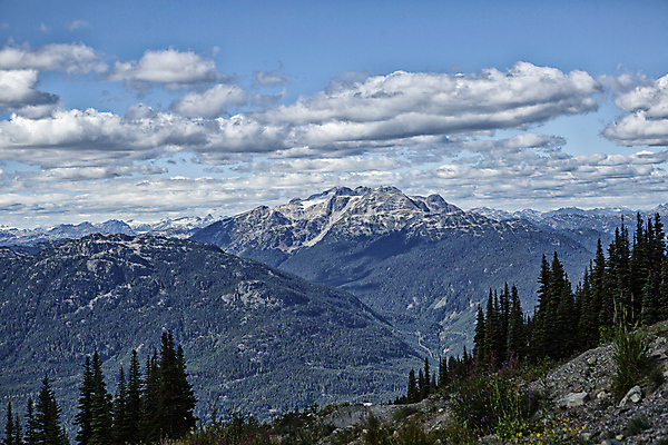 포토 JPG 주간 나무 구름 해외풍경 캐나다 하늘 산 풍경 사람없음 야외 숲 벤쿠버 국내포토 자연요소 식물 해외 북아메리카 파일형식