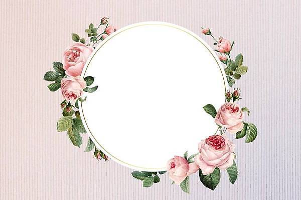 EPS 해외이미지 꽃 줄기 잎 일러스트 프레임 사람없음 원형 꽃봉오리 해외일러스트 도형 식물 파일형식 벡터 이미지허브