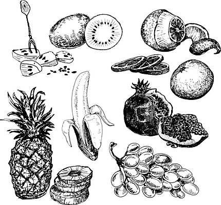 EPS 해외이미지 선 음식 다이어트 오렌지 과일 일러스트 포도 디저트 바나나 키위 요리 그래픽 세트 주방 식당 나뭇가지 신선 달콤 맛 낙서 사과 스케치 수집 메뉴 그림 슬라이스 복숭아 손그림 석류 이국적 해외일러스트 나무 컨셉 건강 미술 상점 파일형식 벡터 이미지허브