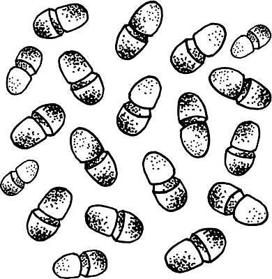 EPS 해외이미지 식물 디자인 백그라운드 컨셉 일러스트 추상 세포 건강 병원 현미경 세트 알약 약 고통 의사 바이러스 질병 위험 약국 허브 심볼 생물학 감염 처방 테라피 중독 박테리아 조제 내추럴 고립 엘리먼트 치료제 헬프 해외일러스트 교육 감정 무늬 의학 실험기구 뷰티 의료진 도움 만들기 파일형식 벡터 이미지허브