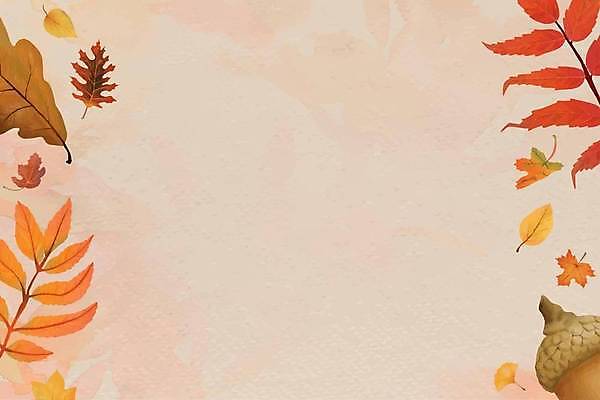 EPS 해외이미지 분홍색 백그라운드 단풍 낙엽 일러스트 사람없음 도토리 카피스페이스 해외일러스트 컬러 잎 공백 견과류 파일형식 벡터 이미지허브