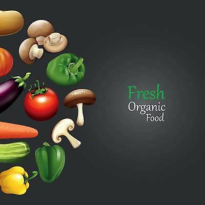 EPS 해외이미지 클립아트 디자인 배너 포스터 종이 백그라운드 다이어트 토마토 채소 일러스트 가지 양파 오이 감자 파프리카 미술 그래픽 초록색 세트 버섯 당근 신선 브로콜리 만화 수집 그림 유기농 클립 많음 시리즈 해외일러스트 웰빙 컬러 컨셉 문화예술 뿌리채소 건강 파일형식 벡터 이미지허브