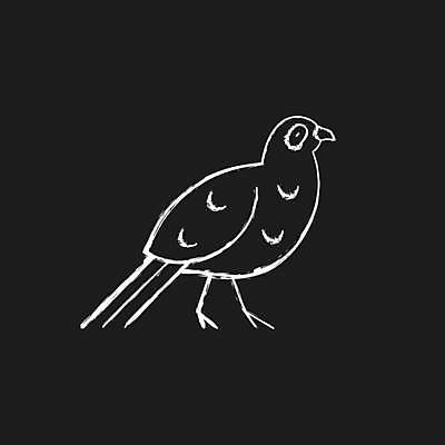 EPS 해외이미지 동물 디자인 아시아 선 백그라운드 컨셉 일러스트 조류 산 동물원 동양인 장식 검은색 웹 칠판 흰색 낙서 숲 스케치 대만 심볼 깃털 사인 그림 분필 윤곽 손그림 지역 꿩 이국적 전국 테마 활자 방식 해외일러스트 나라 컬러 인터넷 미술 인종 초크 활자판 파일형식 벡터 문화예술 사람 인쇄판 인쇄 이미지허브