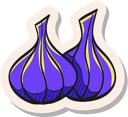 EPS 해외이미지 스티커 일러스트 마늘 사람없음 보라색 심볼 해외일러스트 컬러 채소 파일형식 벡터 이미지허브