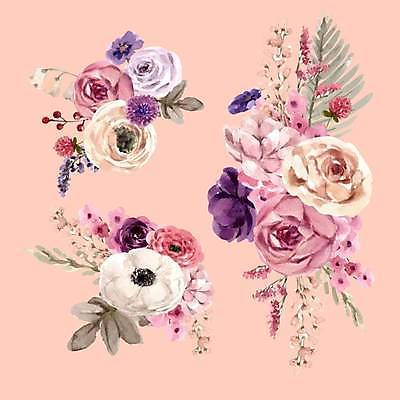 EPS 해외이미지 열매 꽃 잎 일러스트 사람없음 아네모네 엘리먼트 해외일러스트 식물 파일형식 벡터 이미지허브