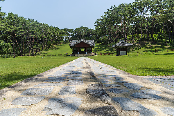 포토 JPG 주간 나무 한국전통 여행 유적지 풍경 사람없음 야외 여름 관광지 세계문화유산 문화재 역사 한국사 조선시대 남양주 사릉 어로 왕릉 정자각 조선왕릉 정순왕후 신로 국내포토 자연요소 식물 전통 계절 고건축 한국 경기도 파일형식 왕후 향어로
