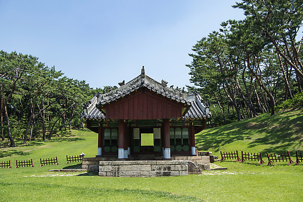 포토 JPG 주간 나무 한국전통 여행 유적지 풍경 사람없음 야외 여름 관광지 세계문화유산 문화재 역사 한국사 조선시대 남양주 사릉 왕릉 정자각 조선왕릉 정순왕후 국내포토 자연요소 식물 전통 계절 고건축 한국 경기도 파일형식 왕후