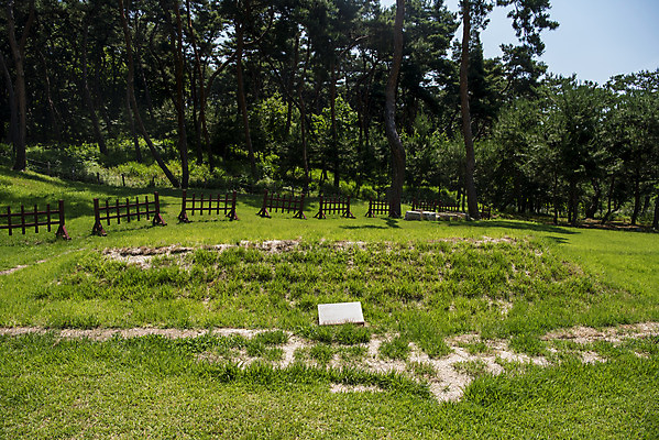 포토 JPG 주간 나무 한국전통 여행 유적지 풍경 사람없음 야외 여름 관광지 세계문화유산 문화재 역사 한국사 조선시대 남양주 사릉 왕릉 조선왕릉 수복방 정순왕후 국내포토 자연요소 식물 전통 계절 고건축 한국 경기도 파일형식 왕후