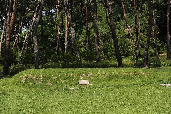포토 JPG 주간 나무 한국전통 여행 유적지 풍경 사람없음 야외 여름 관광지 세계문화유산 문화재 역사 한국사 조선시대 남양주 사릉 왕릉 조선왕릉 수라간 정순왕후 국내포토 자연요소 식물 전통 계절 고건축 한국 경기도 파일형식 왕후